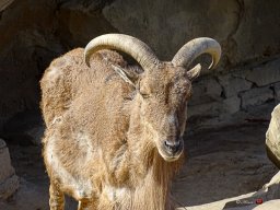 Tiergarten Schönbrunn am 23.03.2023